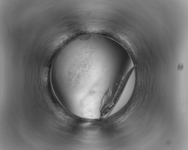 X0000091370495200708101535