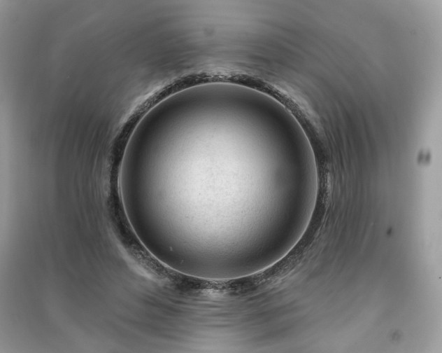 X0000091370496200708101535