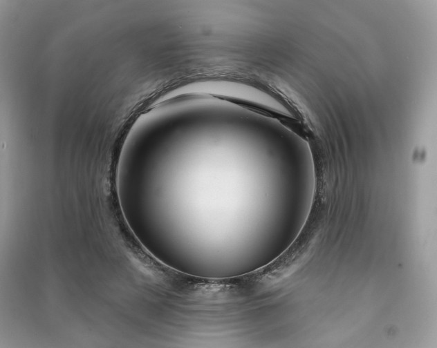 X0000091370497200708101535