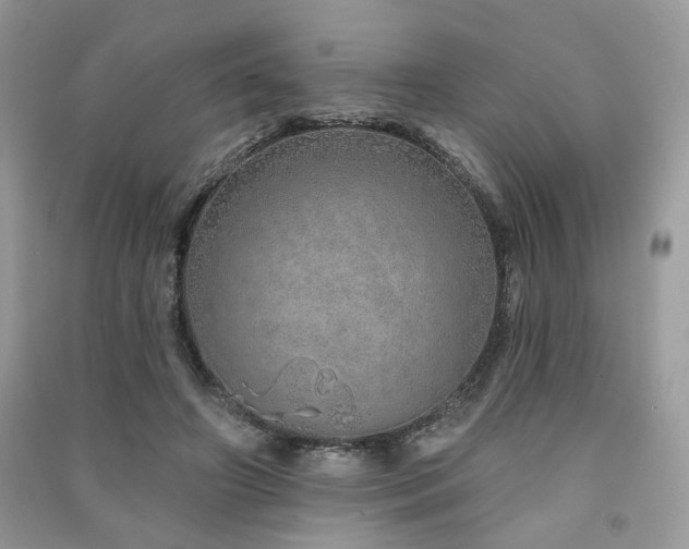 X0000091370498200708101535