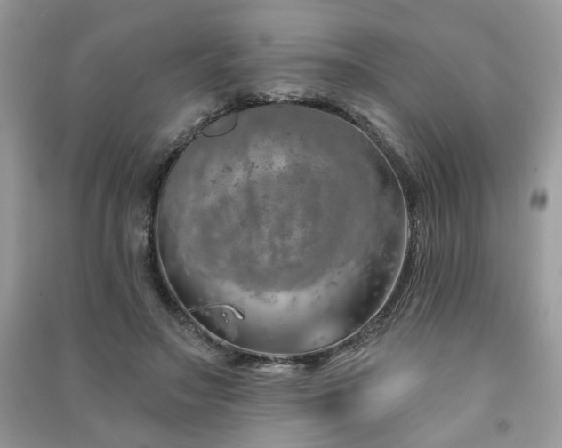 X0000091370499200708101535