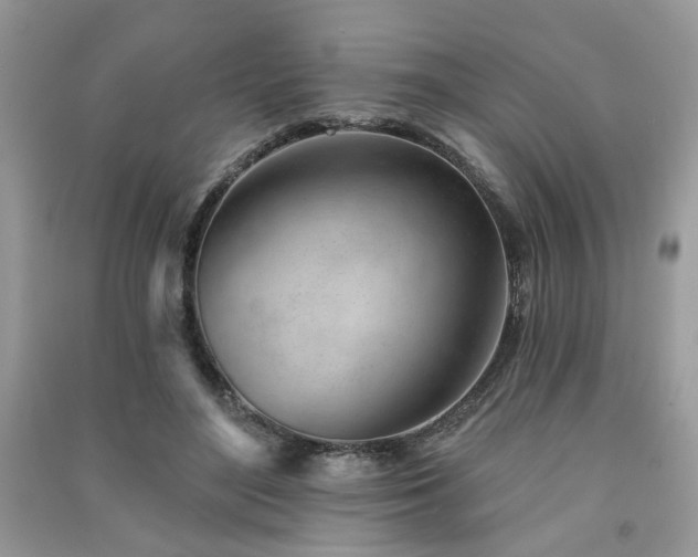 X0000091370500200708101535