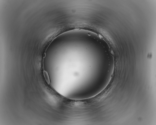 X0000091370501200708101535