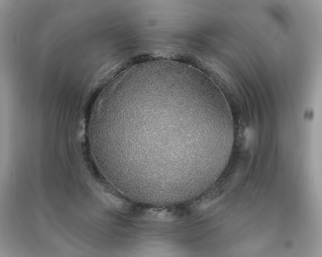 X0000091370502200708101535