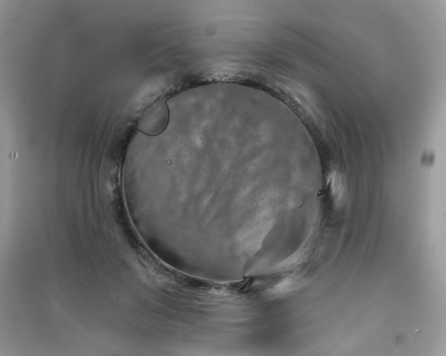 X0000091370503200708101535