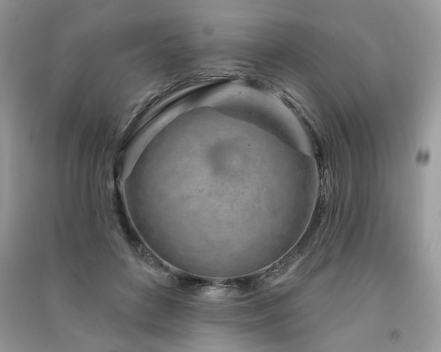 X0000091370504200708101535