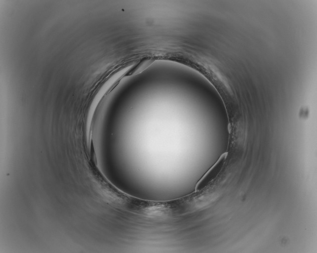 X0000091370505200708101535