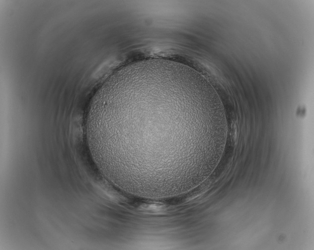 X0000091370506200708101535