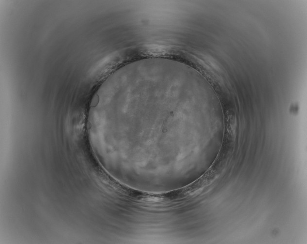 X0000091370507200708101535