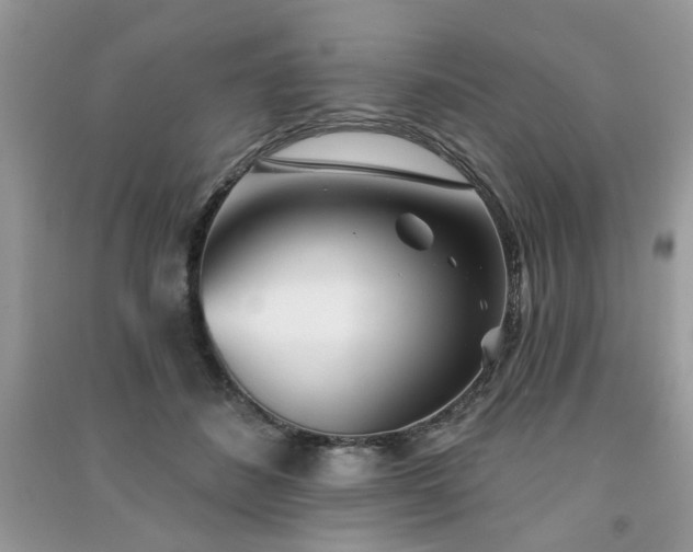 X0000091370508200708101535