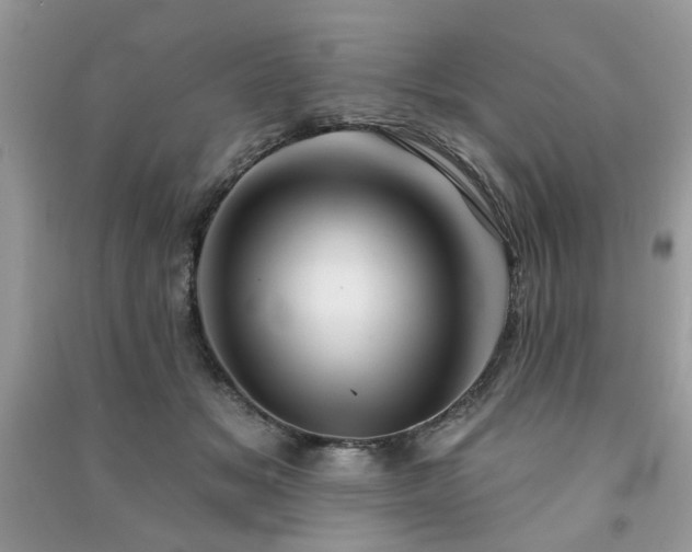 X0000091370509200708101535