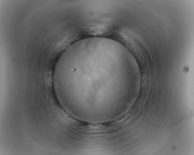 X0000091370510200708101535