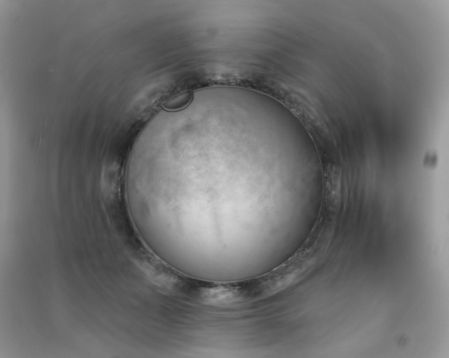 X0000091370511200708101535