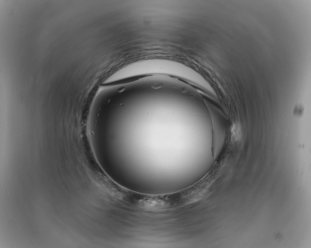 X0000091370512200708101535