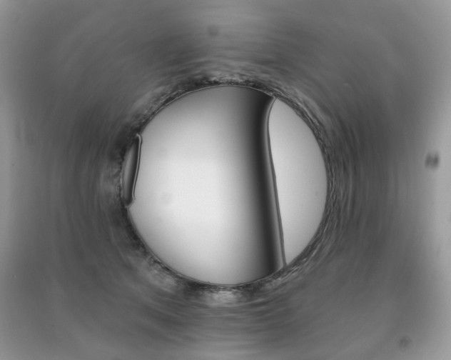 X0000091370513200708101535