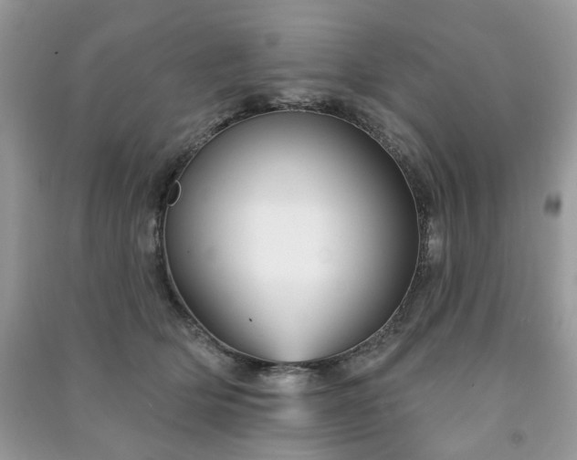 X0000091370514200708101535