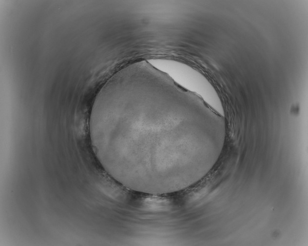 X0000091370515200708101535