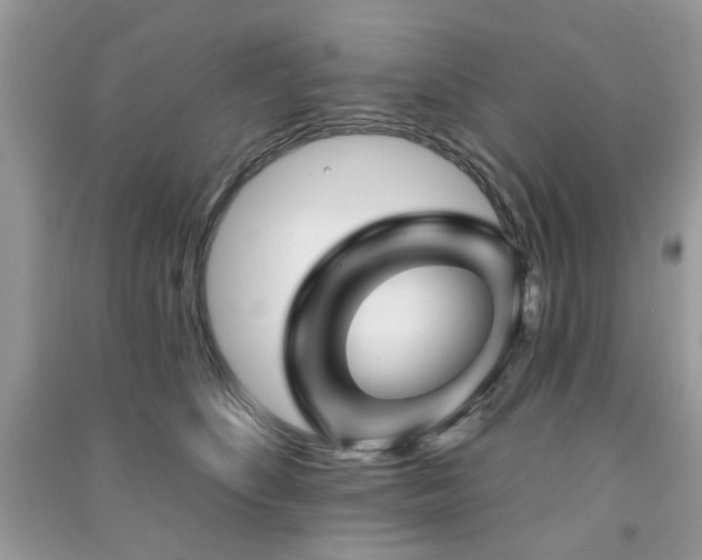 X0000091370516200708101535