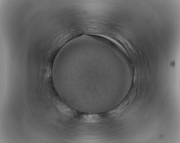 X0000091370517200708101535