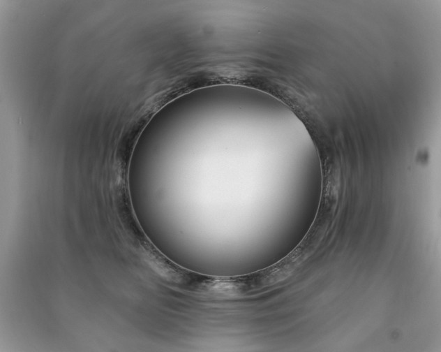 X0000091370518200708101535