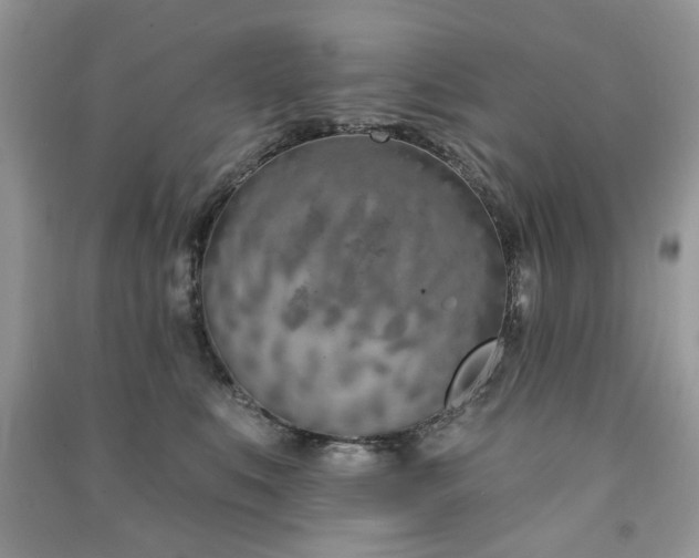 X0000091370519200708101535