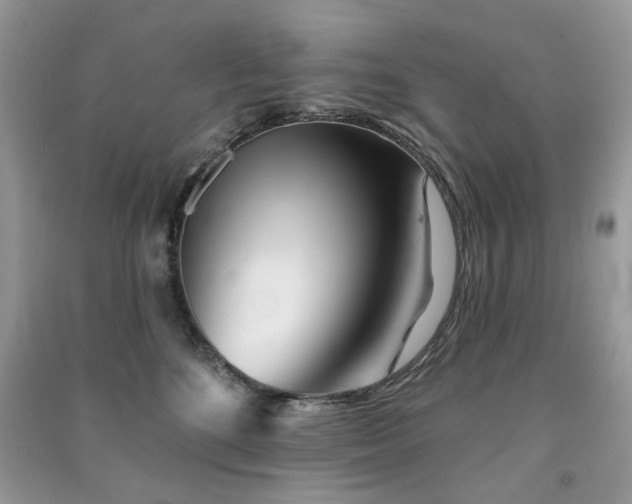 X0000091370520200708101535