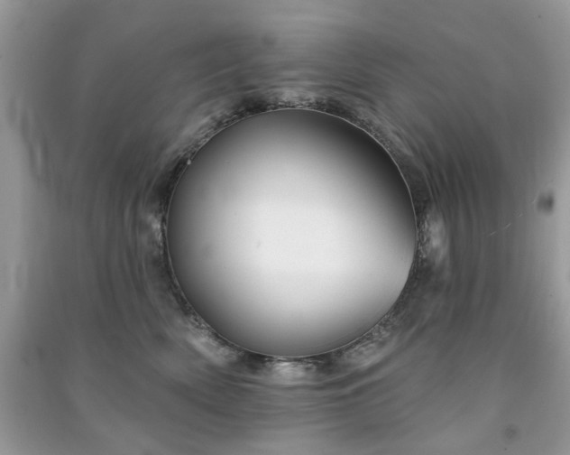 X0000091370522200708101535