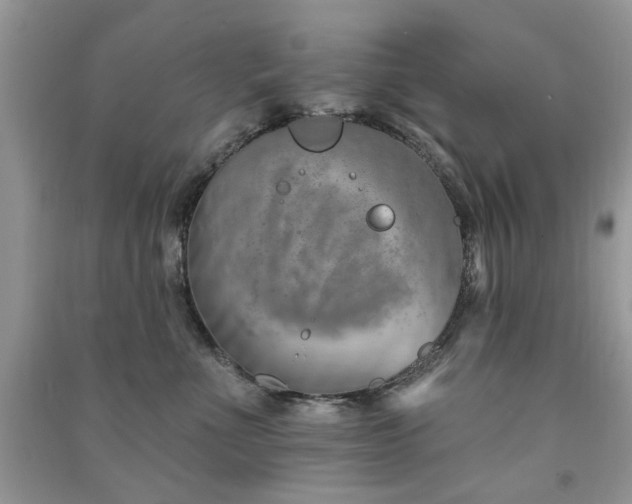 X0000091370523200708101535