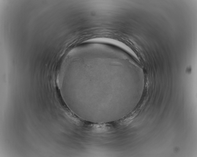 X0000091370524200708101535