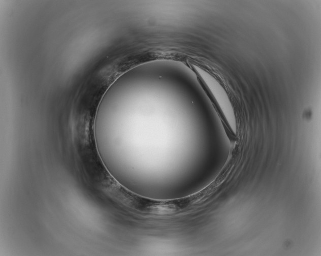 X0000091370525200708101535