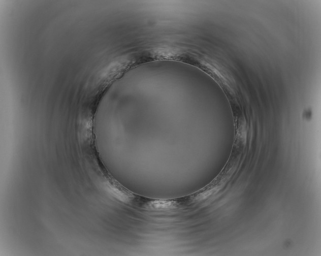 X0000091370526200708101535