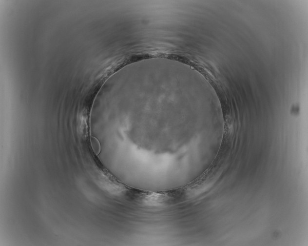 X0000091370527200708101535