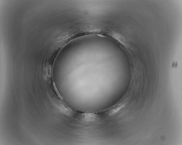 X0000091370528200708101535