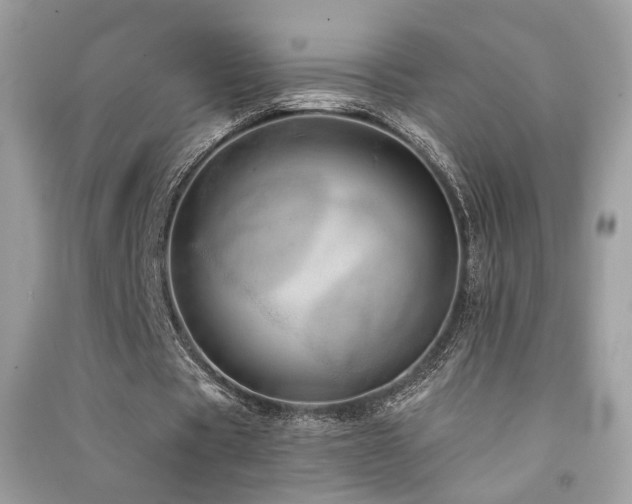 X0000091370529200708101534