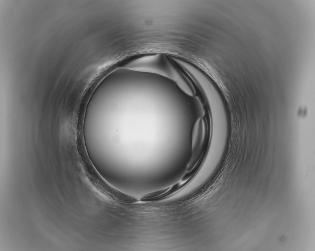 X0000091370530200708101534