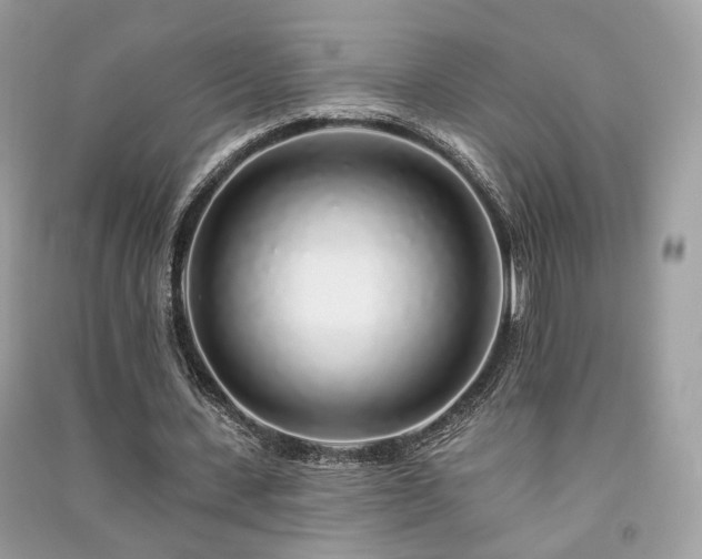 X0000091370531200708101534