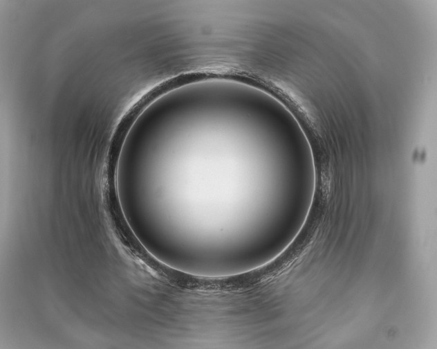 X0000091370532200708101534