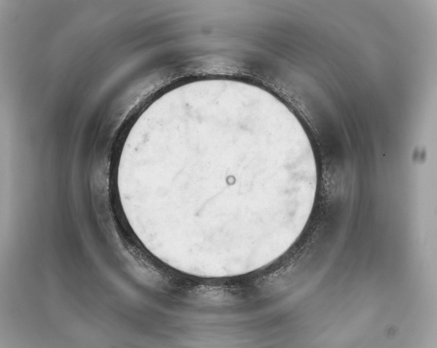 X0000091370534200708101534