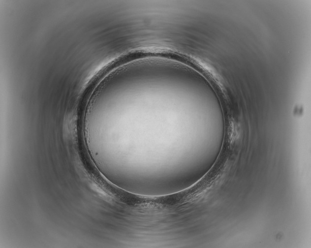 X0000091370535200708101534