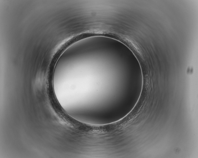 X0000091370536200708101534