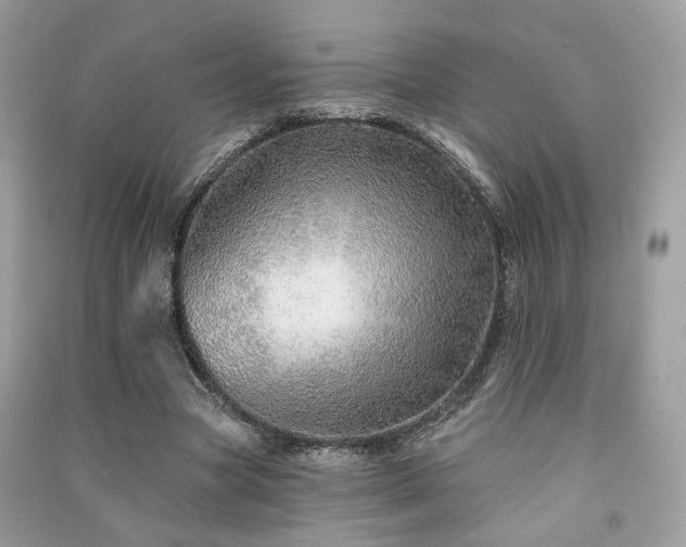 X0000091370537200708101534