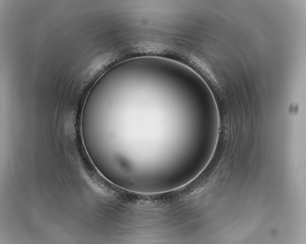 X0000091370538200708101534