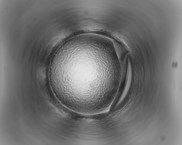 X0000091370539200708101534