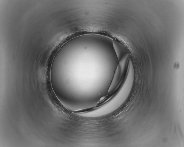 X0000091370540200708101534