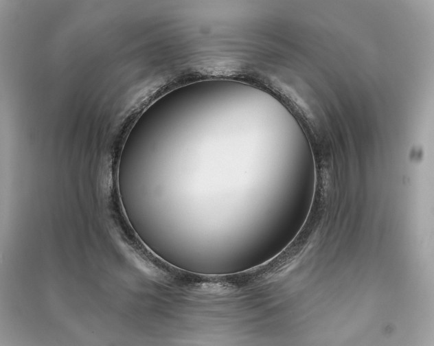 X0000091370541200708101534