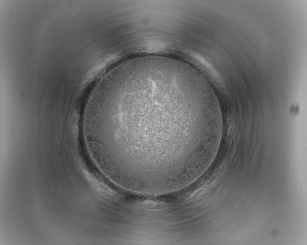 X0000091370542200708101534