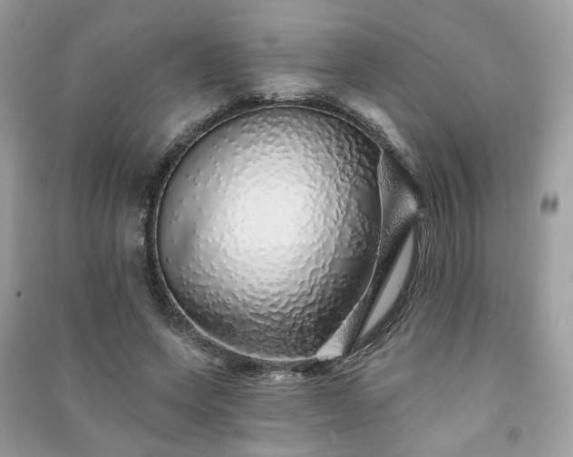 X0000091370543200708101534