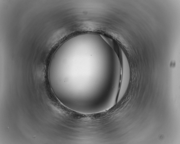 X0000091370544200708101534