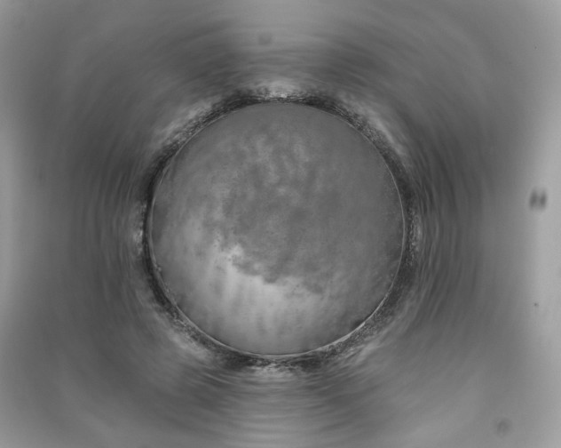 X0000091370545200708101534