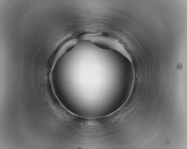 X0000091370546200708101534